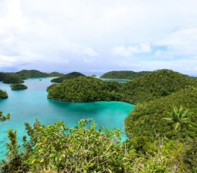 Doberai Private Island Gallery
