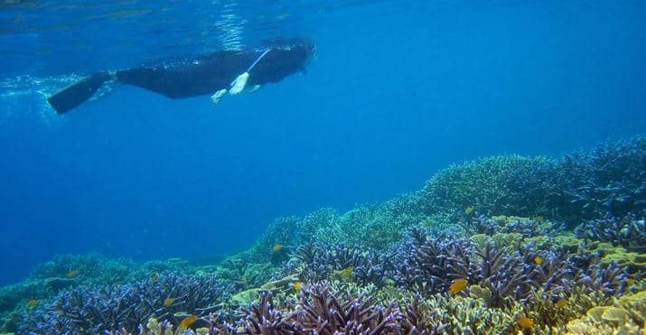 Snorkeling In Raja Ampat