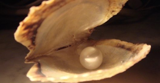 Beautiful Pearl From Raja Ampat