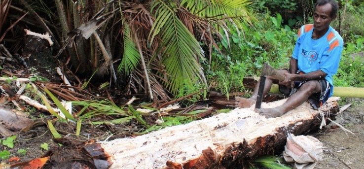 Sago Staple Food Raja Ampat