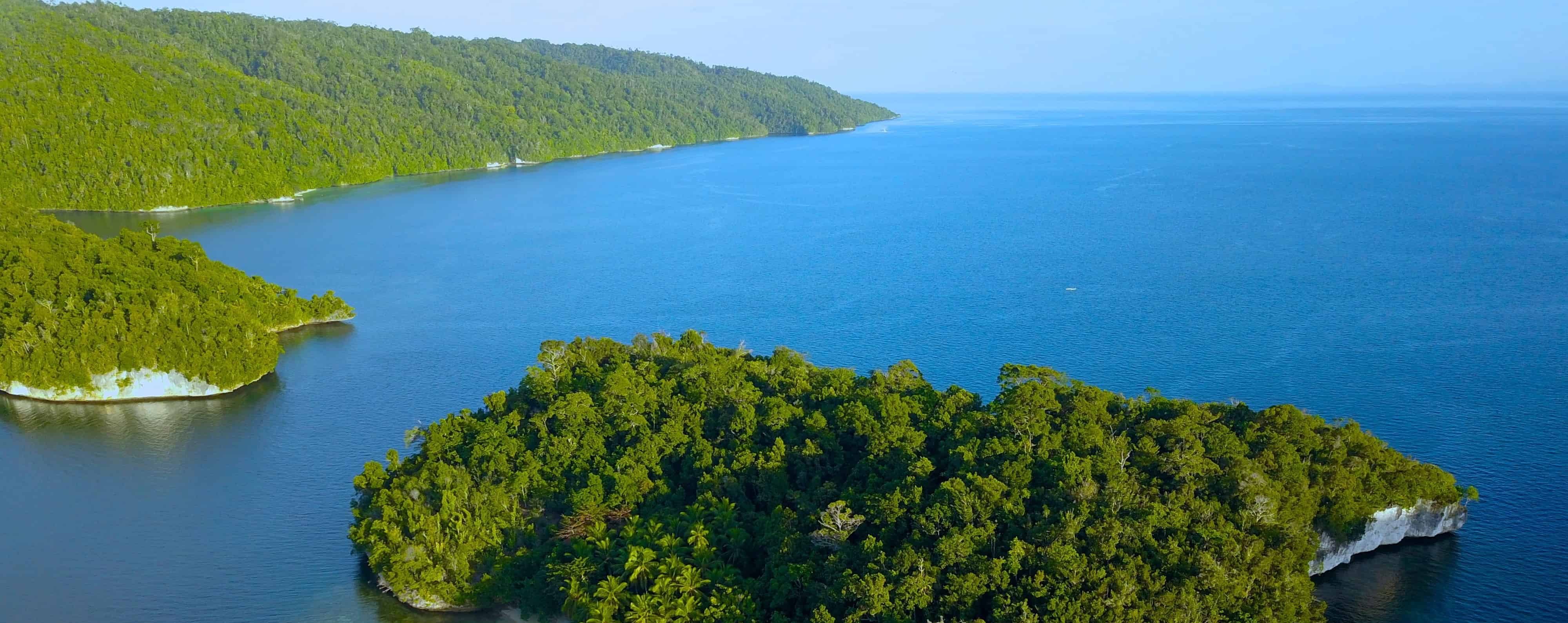The Origin Of Raja Ampat