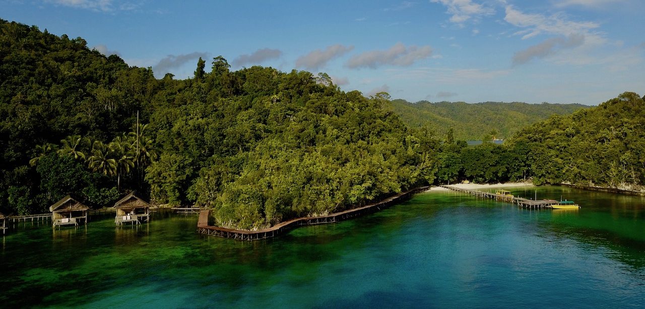 The Beauties of Raja Ampat