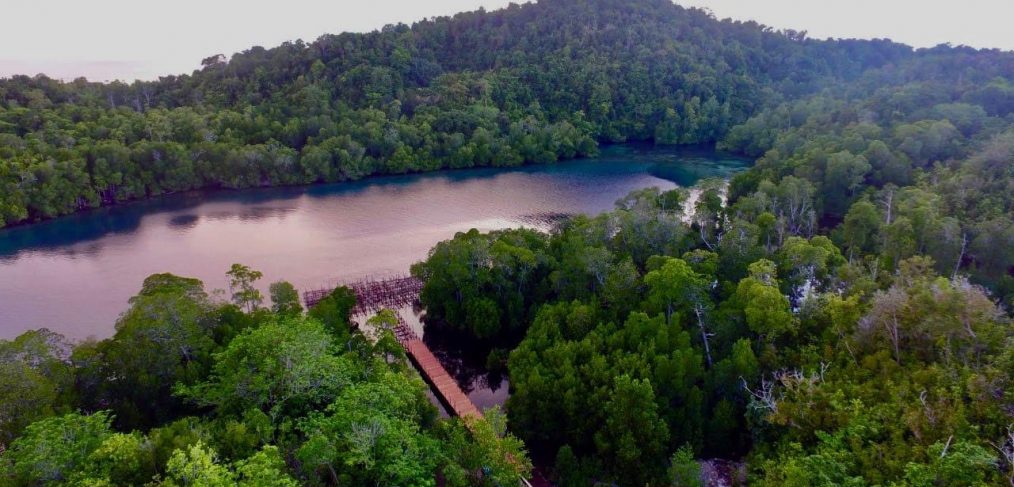 New Facilities in Tanjung Putus