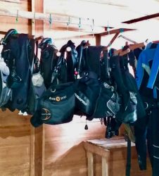 Raja Ampat Diving