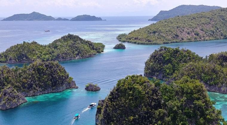 The Raja Ampat Coral Reef