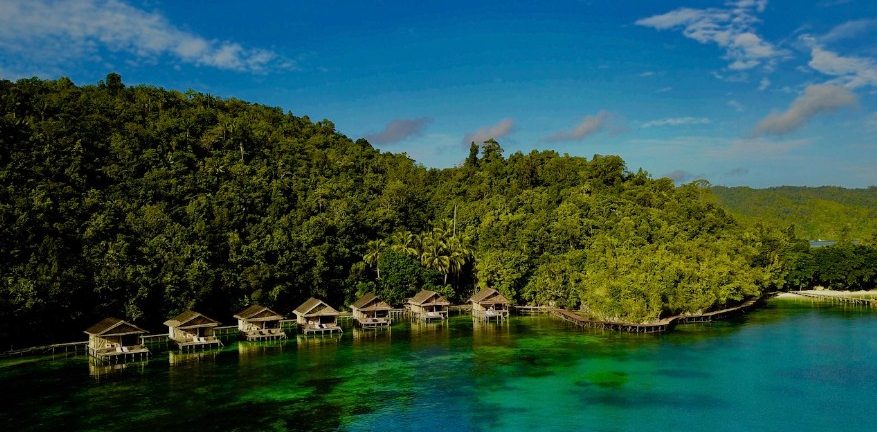 Raja Ampat Travel You Need to Know