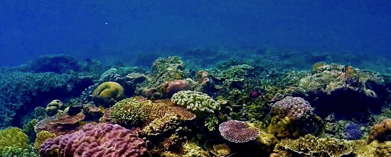 History of Raja Ampat