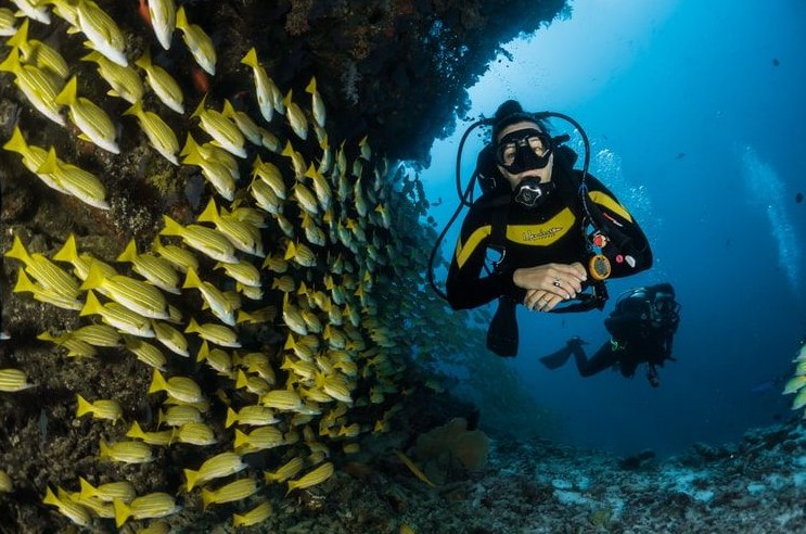 Diving Spot in Raja Ampat 